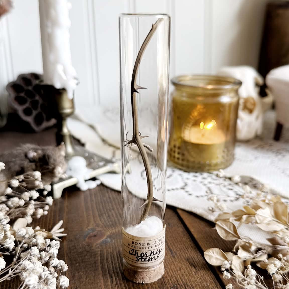 Real Thorny Stem in Glass Vial