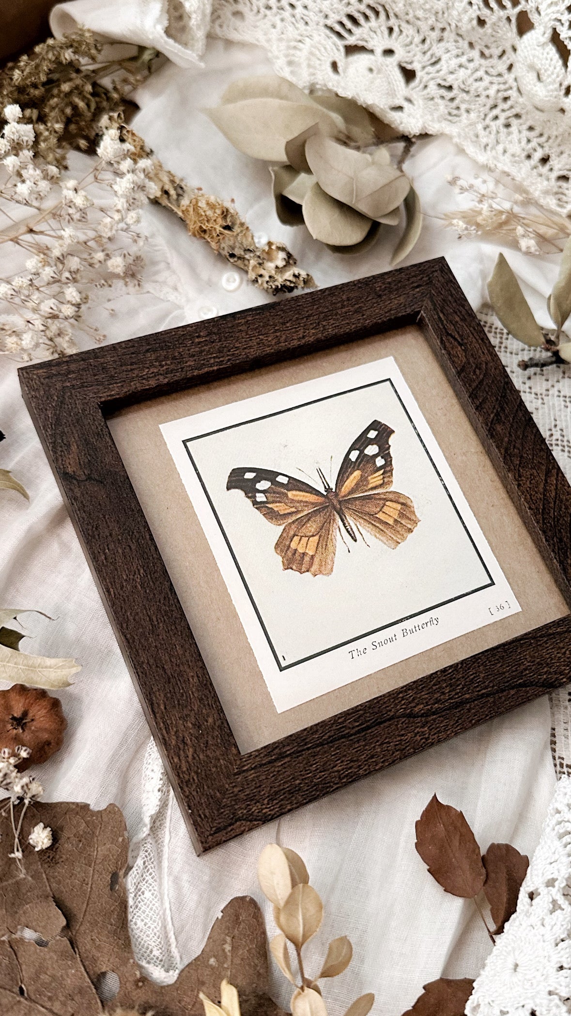 Vintage Framed Art