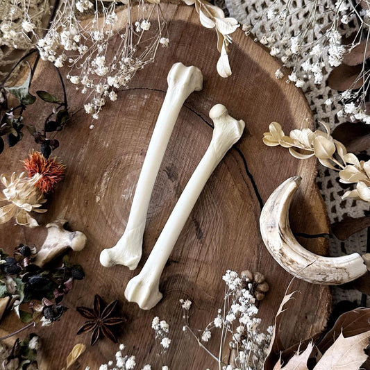 One Real Rustic Opossum Femur Bone – No. 01