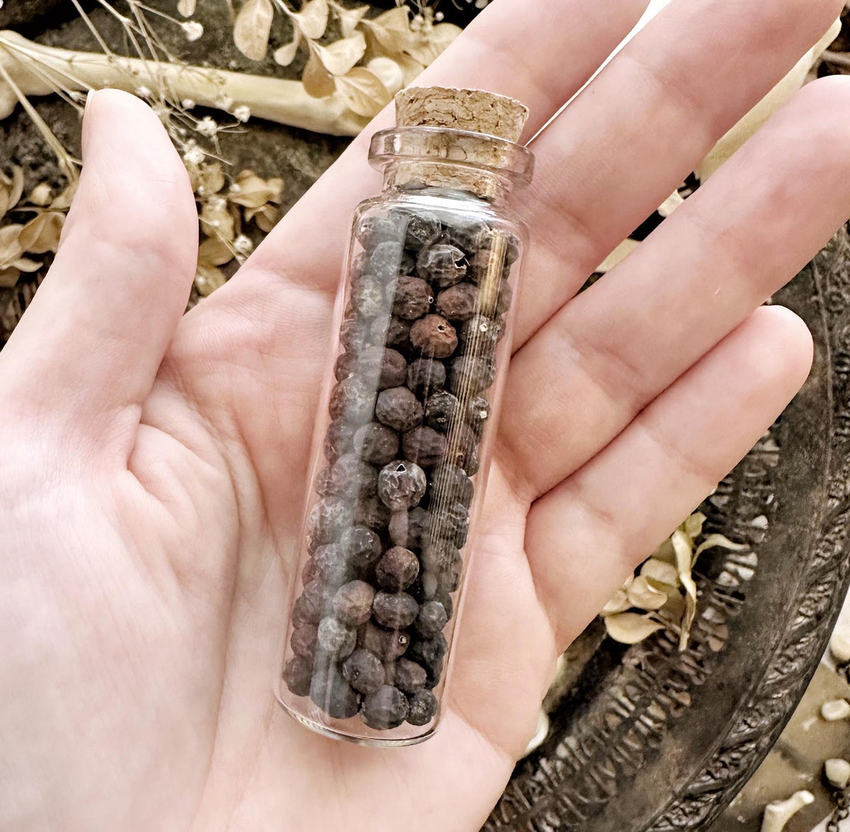 Dried Chinese Privet Berries in Glass Vial