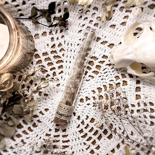 Real Petite Hognose Snake Tail Skin Shed in Glass Vial