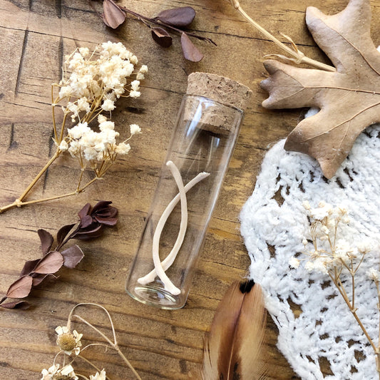 Real Mink Rib Bones in Glass Vial – No. 02