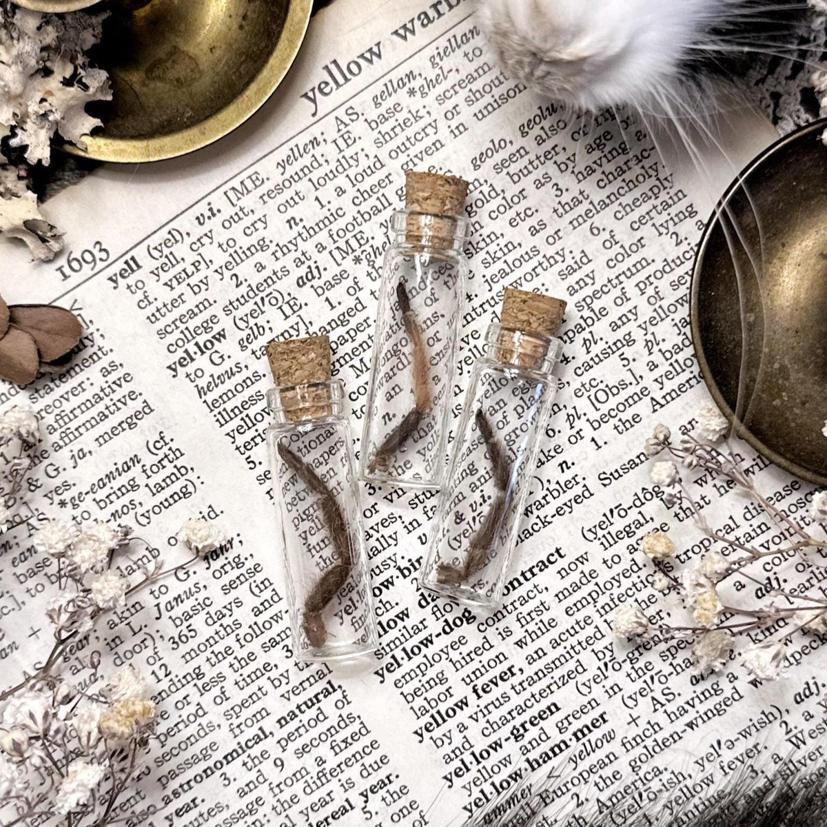 Mystery Tiny Tarantula Leg in Glass Vial – No. 18