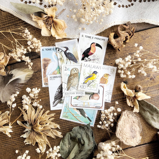 Mystery Collection Vintage Bird Stamps – No. 01