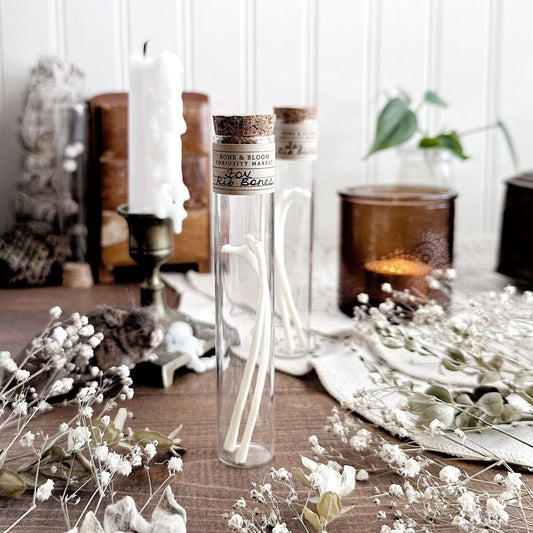 Real Fox Rib Bones in Glass Vial – No. 01
