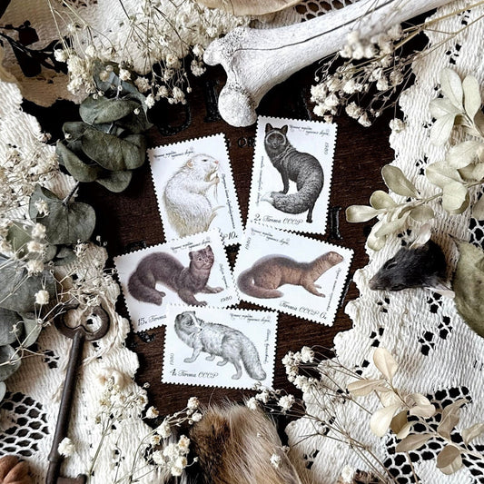 Vintage Fauna Stamps – No. 19, 1980