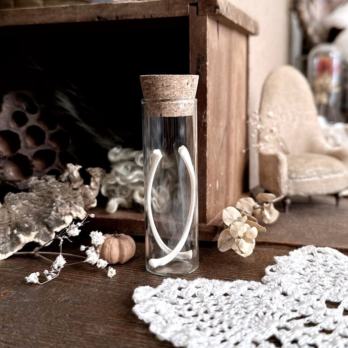Real Fetal Pig Rib Bones in Glass Vial – No. 01