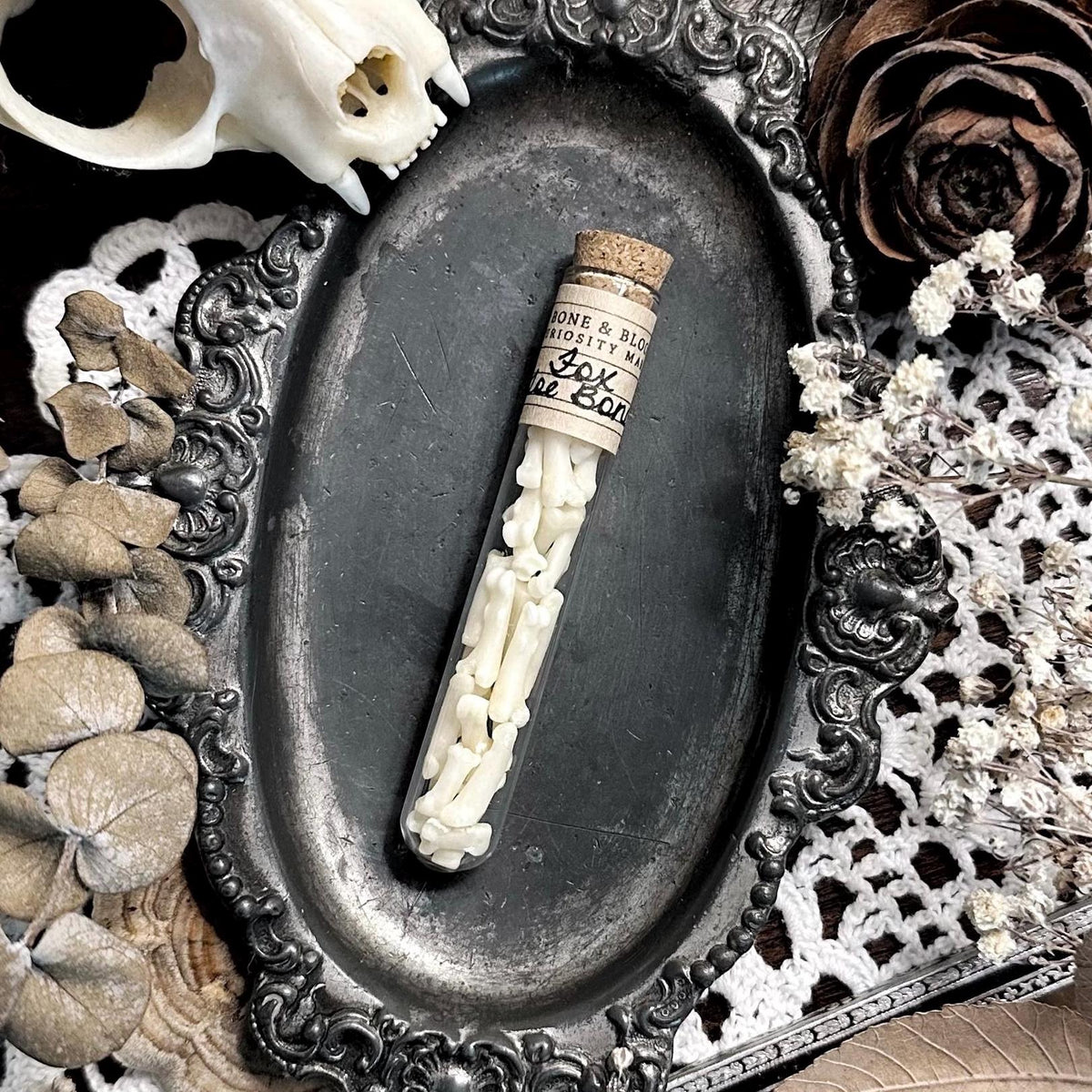Real Fox Toe Bones in Glass Vial