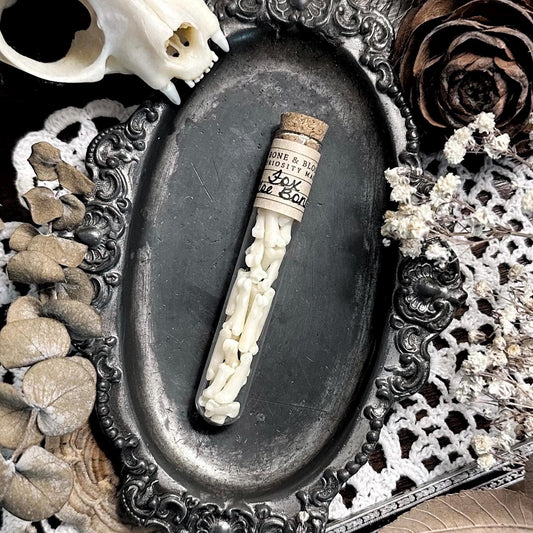 Real Fox Toe Bones in Glass Vial