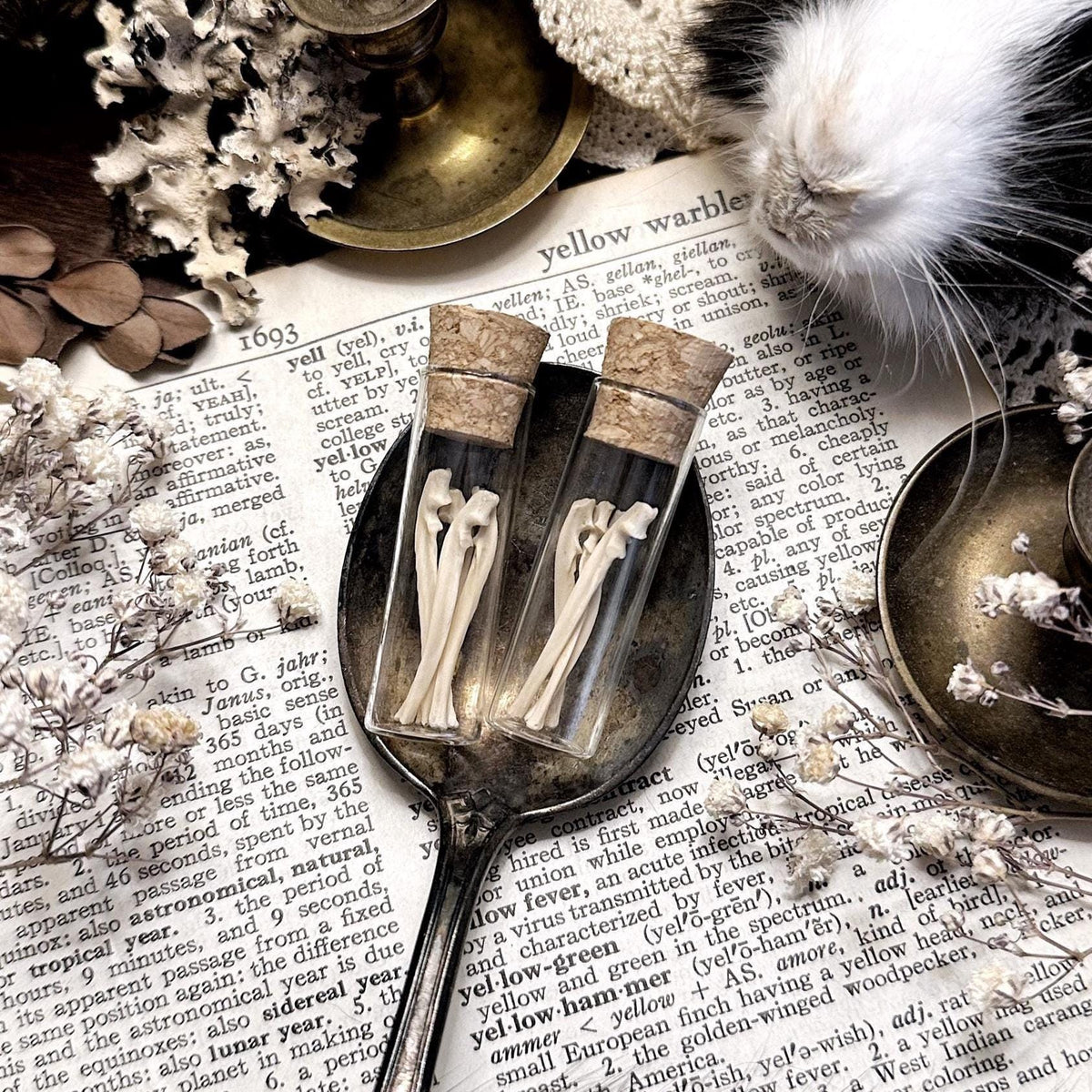 Real Petite Rat Ulna Bones in Glass Vial – No. 02