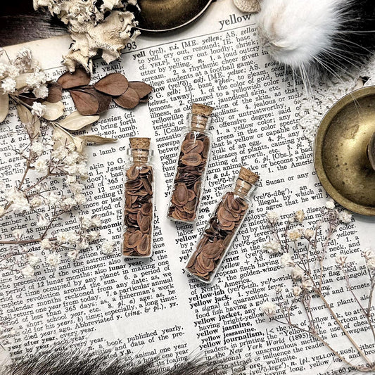 Milkweed Seeds in Tiny Glass Vial