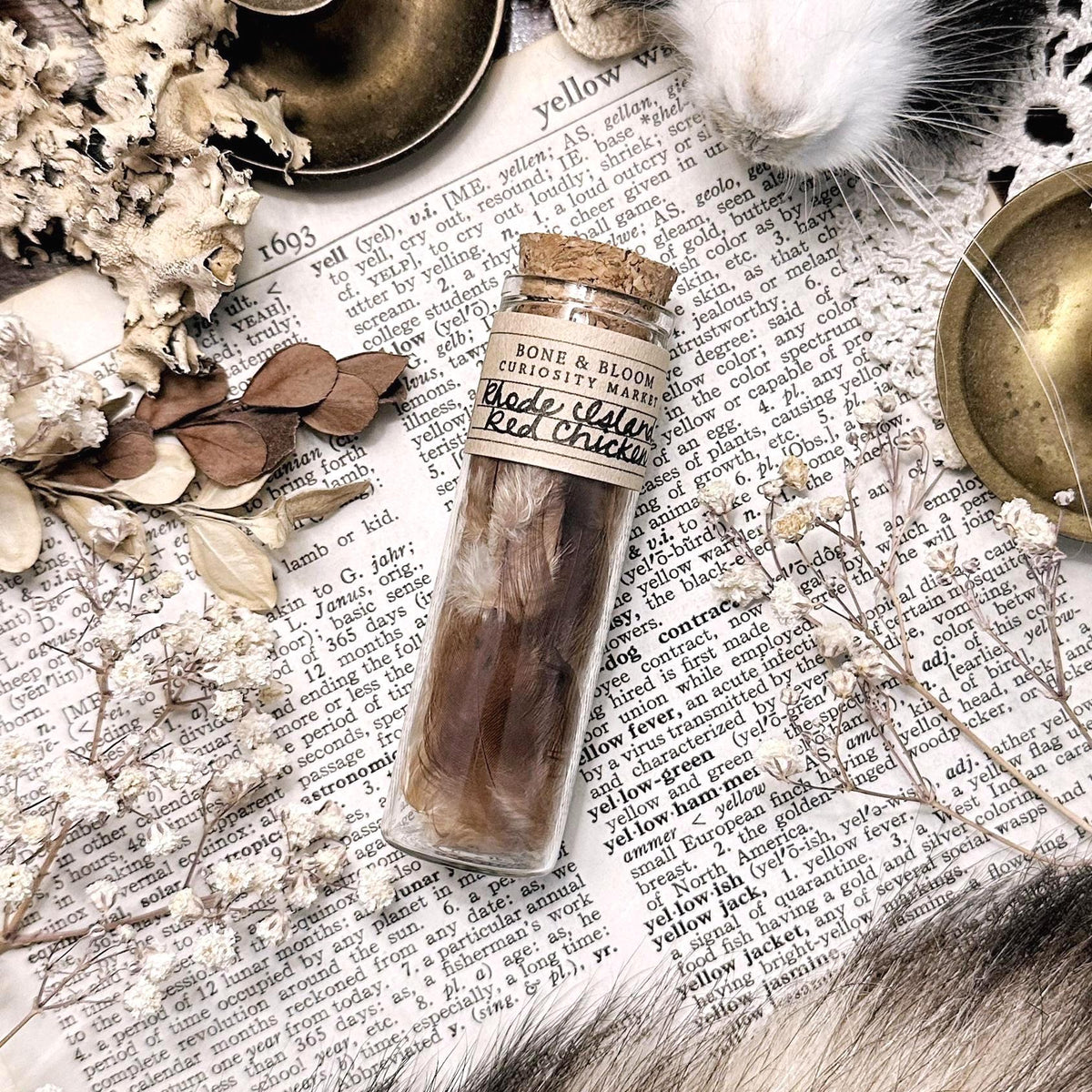 Real Rhode Island Red Chicken Feathers in Glass Vial