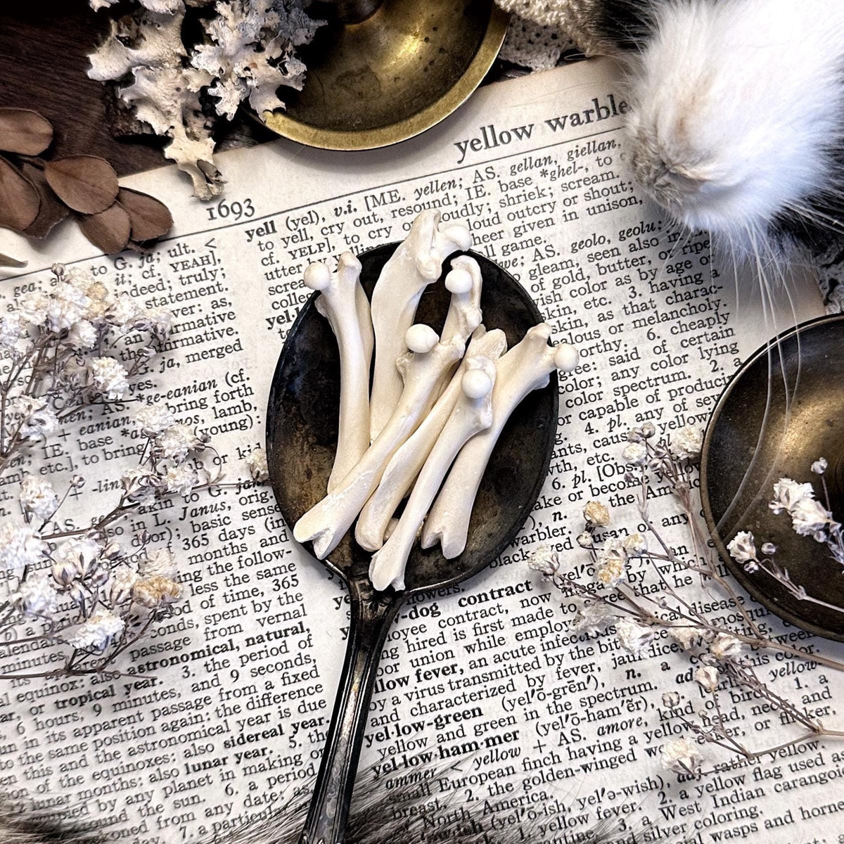One Real Rustic Rat Femur Bone – No. 02