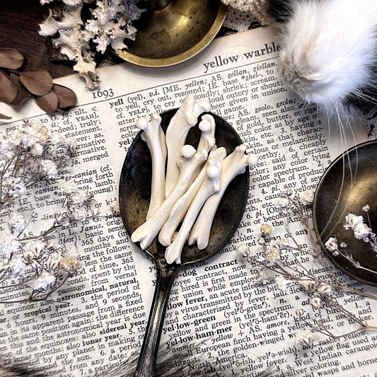 One Real Rustic Rat Femur Bone – No. 02