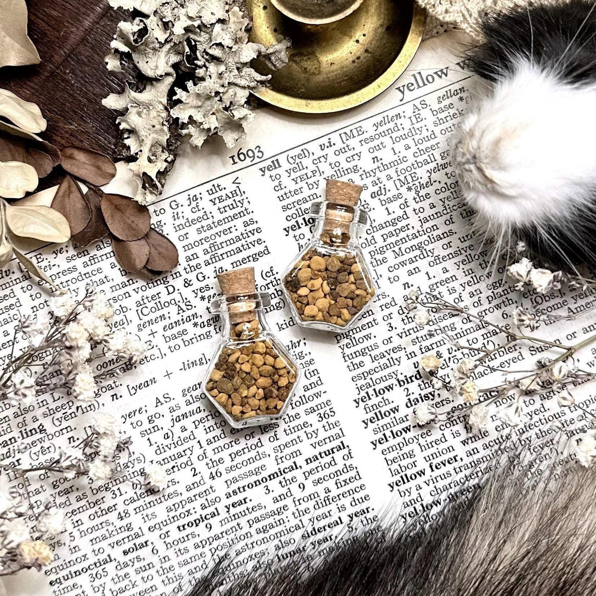 Bee Pollen Granules  in Tiny Glass Hexagon Vial