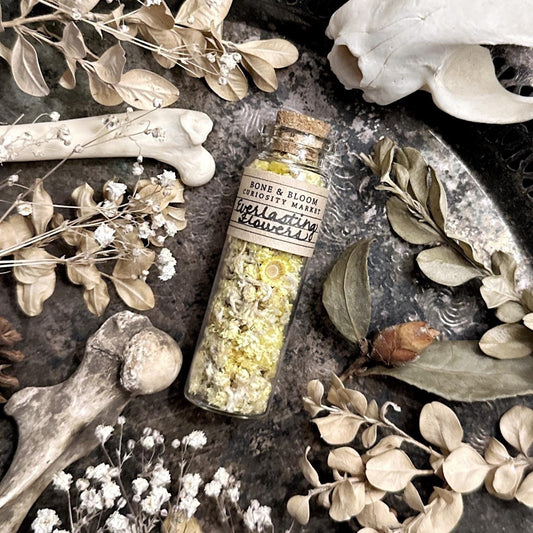 Dried Everlasting Flowers in Glass Vial