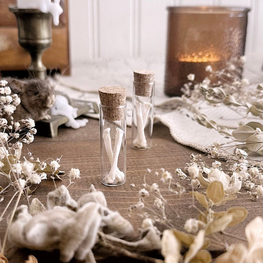 Real Woodchuck Foot Bones in Glass Vial – No. 03
