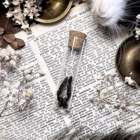 Petite Tarantula Legs in Glass Vial – No. 15