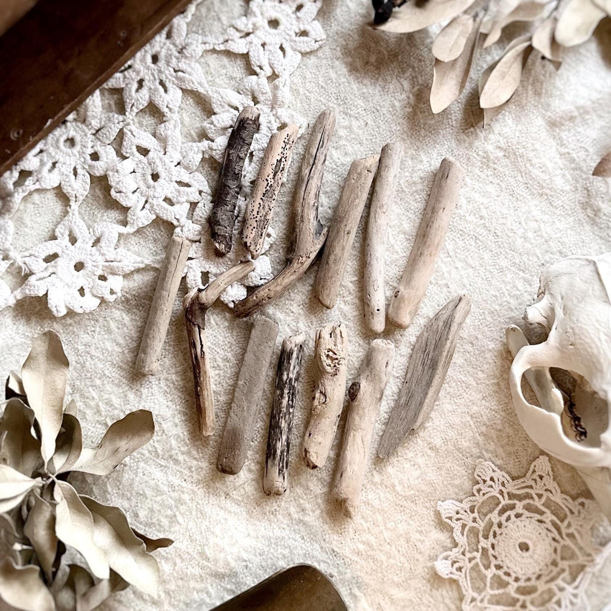 Natural Oregon Driftwood Collection – No. 16