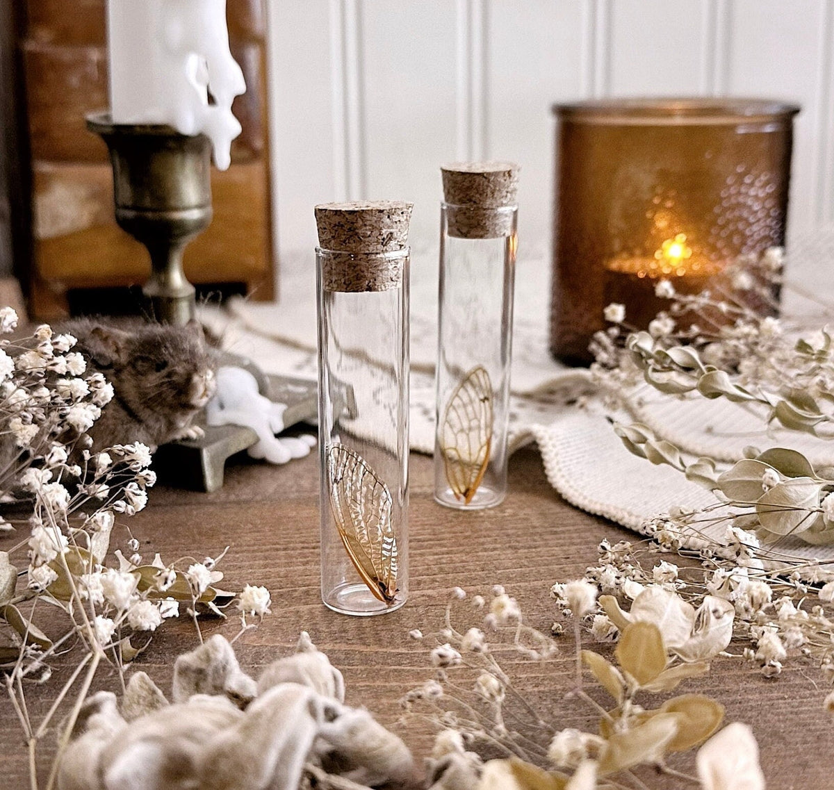 One Real Cicada Wing in Glass Vial – No. 01
