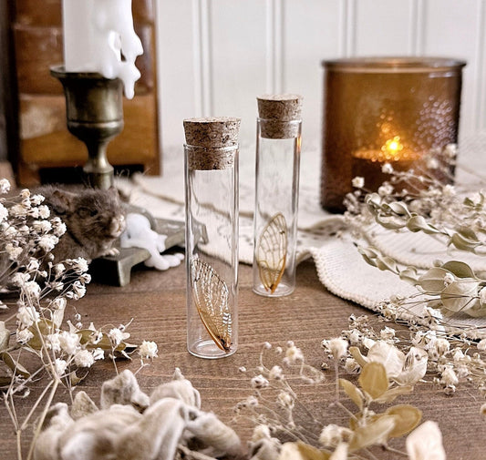 One Real Cicada Wing in Glass Vial – No. 01