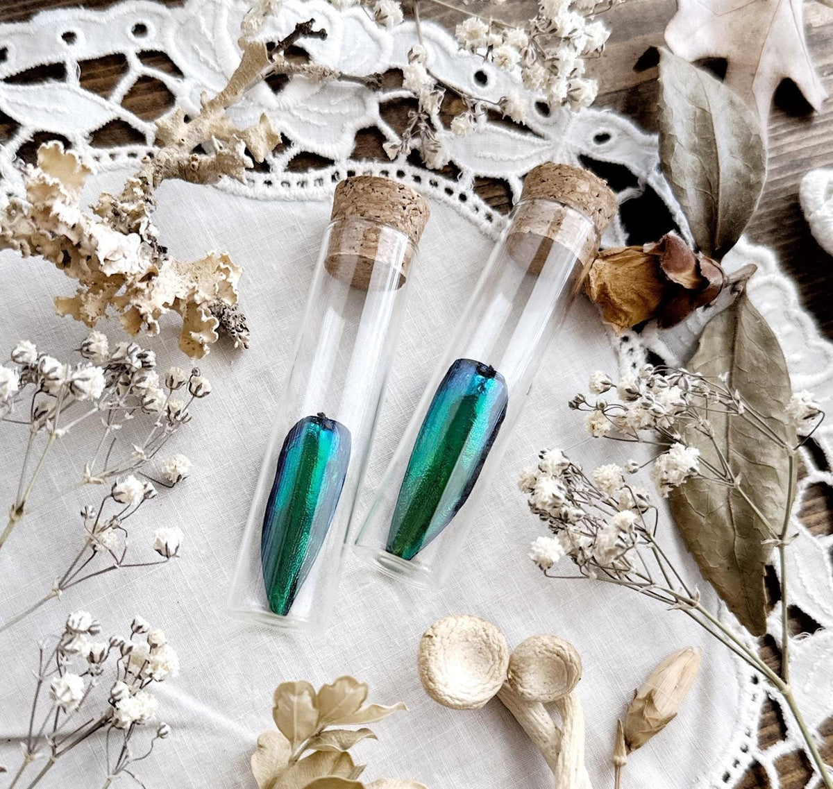 One Real Jewel Beetle Wing in Glass Vial