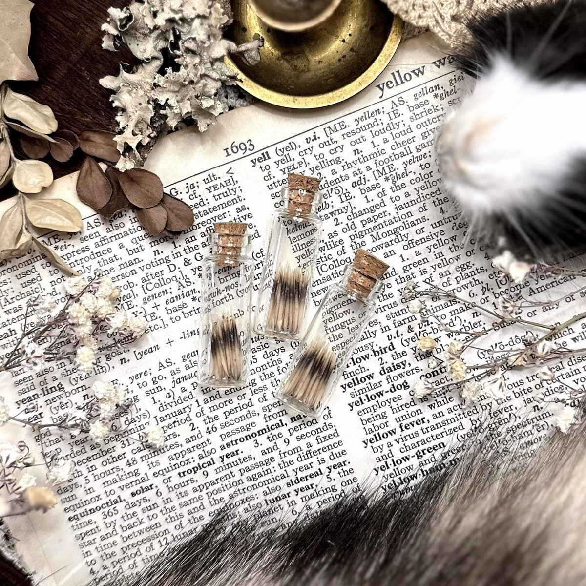 Real Tiny Hedgehog Quills in Glass Vial