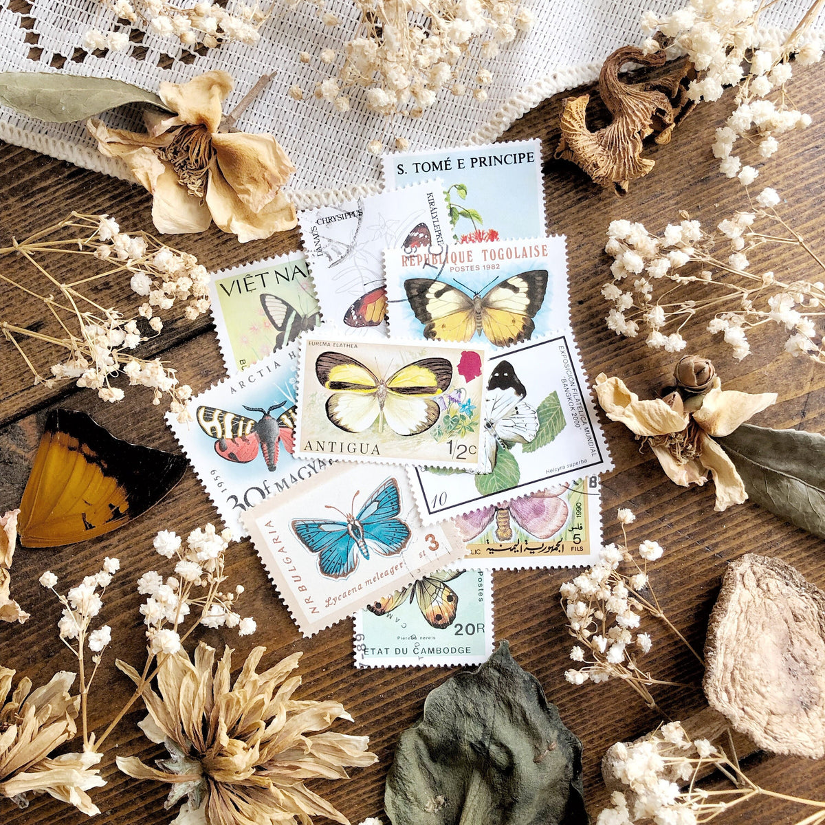 Mystery Collection Vintage Butterfly Stamps – No. 01