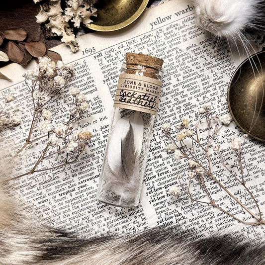 Real Petite Cockatiel Feathers in Glass Vial – No. 01