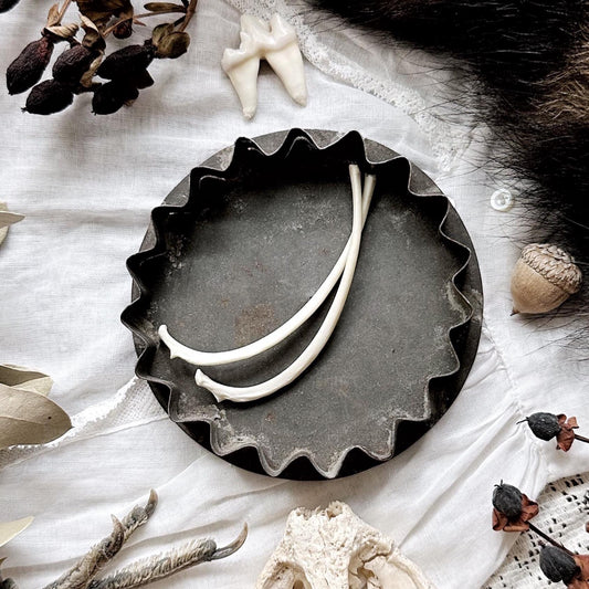 Real Pair of Rustic Opossum Rib Bones – No. 01