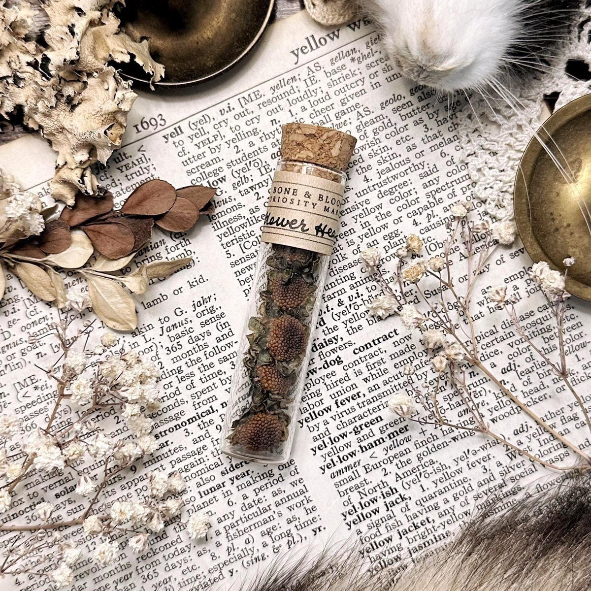 Petite Dried Flower Heads in Glass Vial