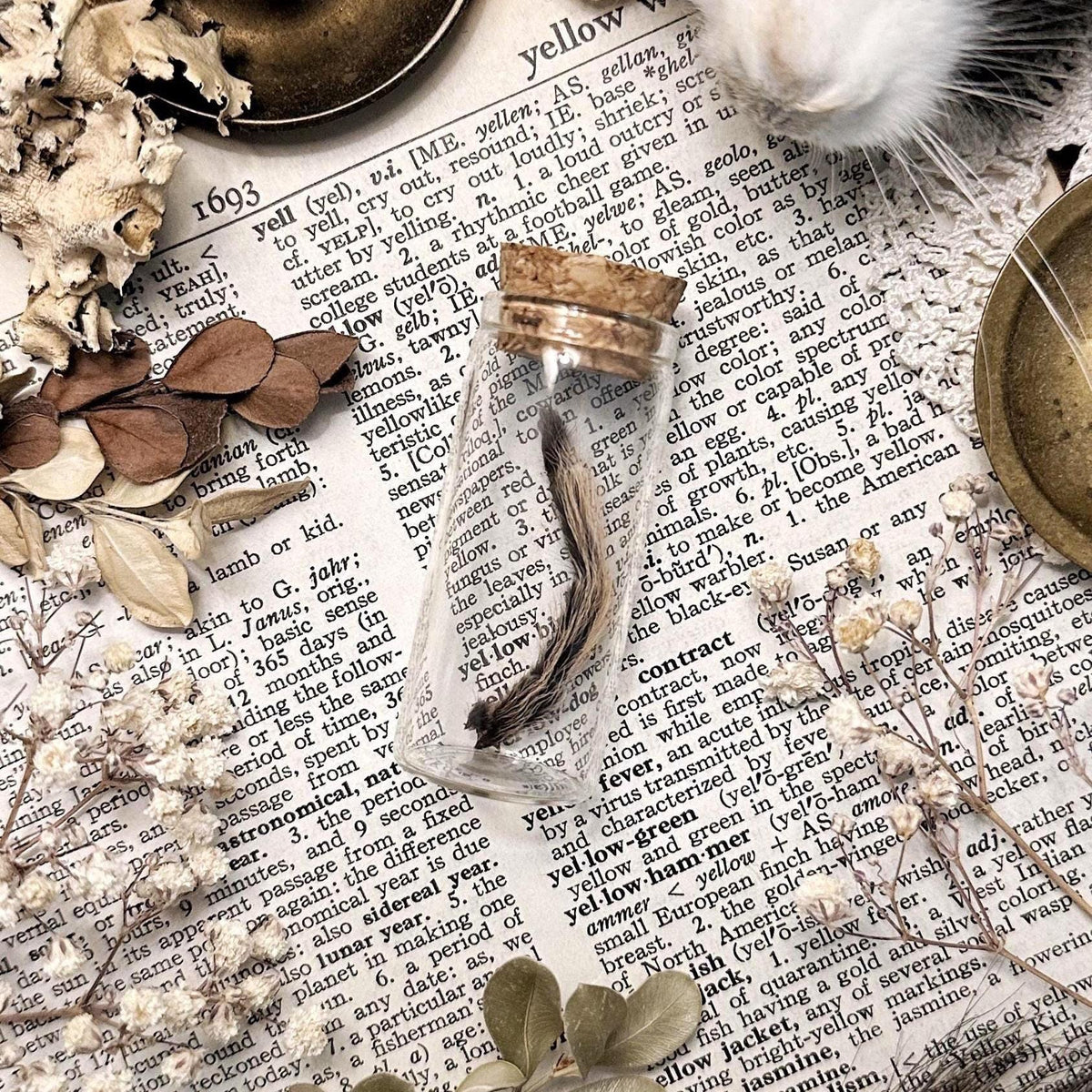 Curly Hair Tarantula Leg in Glass Vial