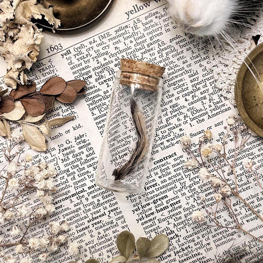 Curly Hair Tarantula Leg in Glass Vial