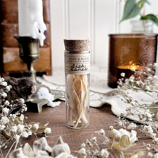 Real Fish Bones in Glass Vial – No. 02
