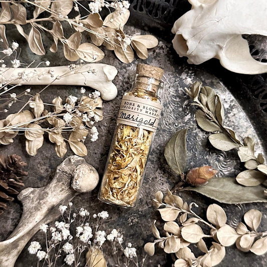 Dried Marigold Petals in Glass Vial