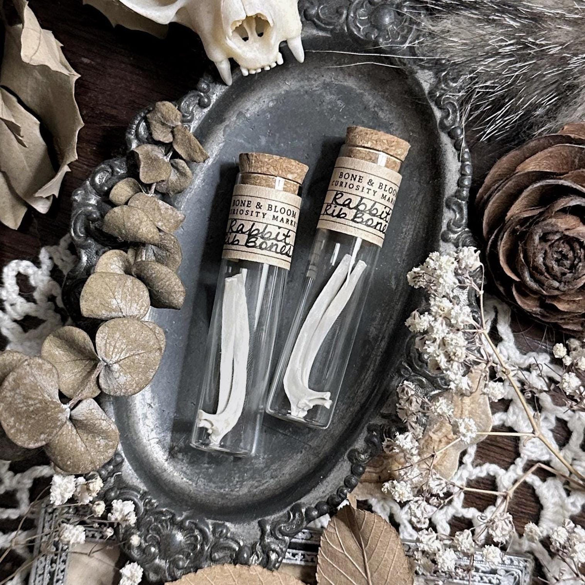 Real Rabbit Rib Bones in Glass Vial – No. 01