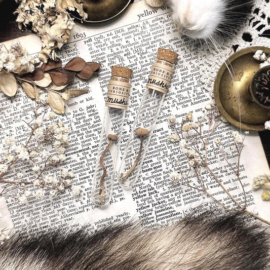 Petite Dried Mushroom in Glass Vial – No. 01