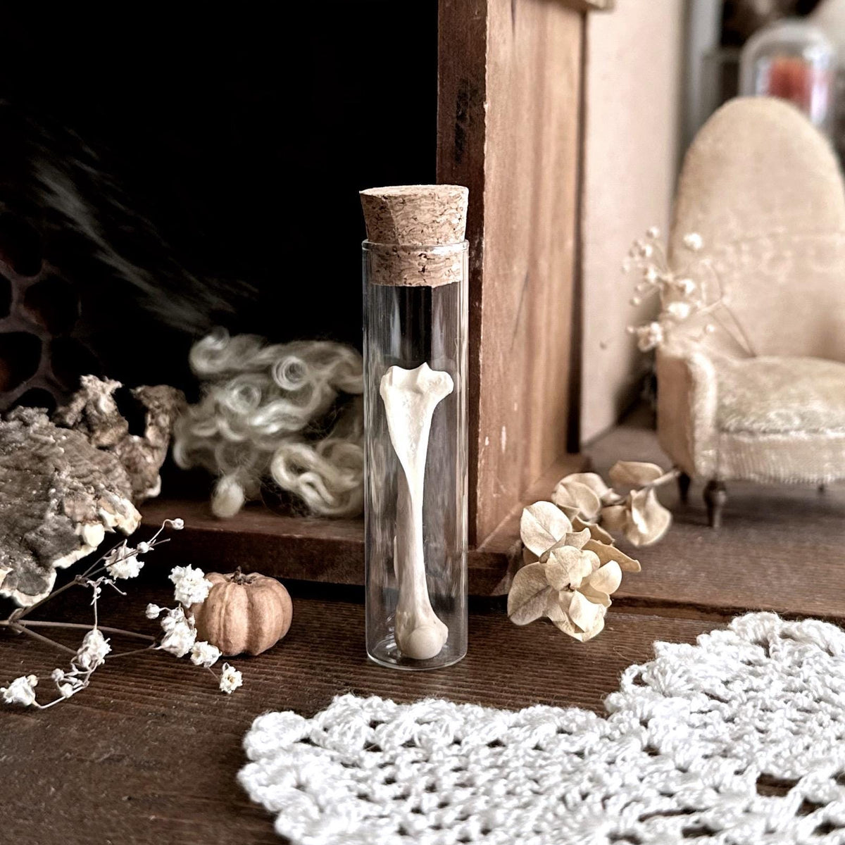 One Real Squirrel Humerus Bone in Glass Vial – No. 02