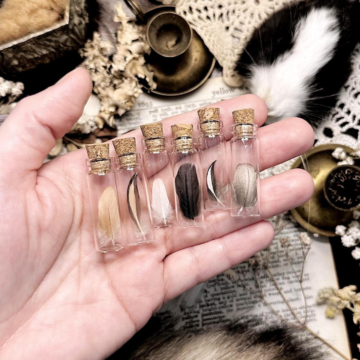 One Real Tiny Mystery Feather in Tiny Glass Vial