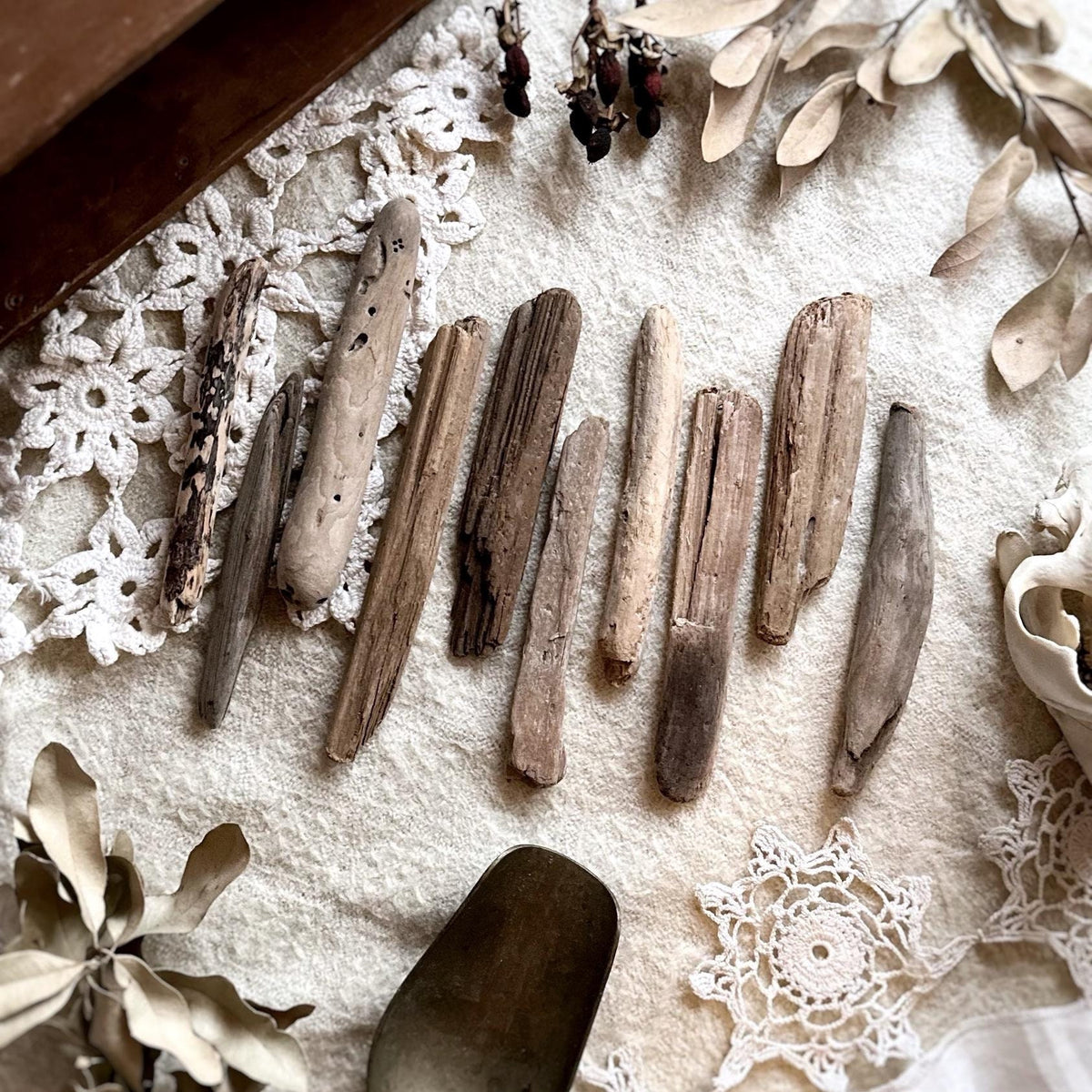 Natural Oregon Driftwood Collection – No. 04