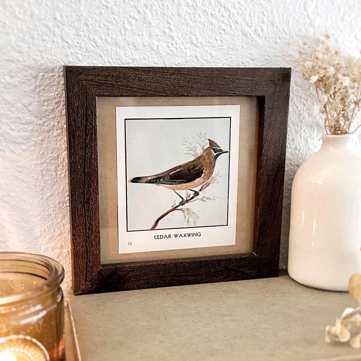 1931 The Cedar Waxwing – 4x4 Framed Vintage 1930's Bird Print