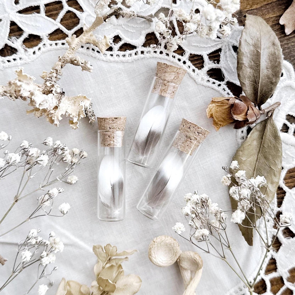 One Real Tiny Cockatiel Feather in Glass Vial – No. 03