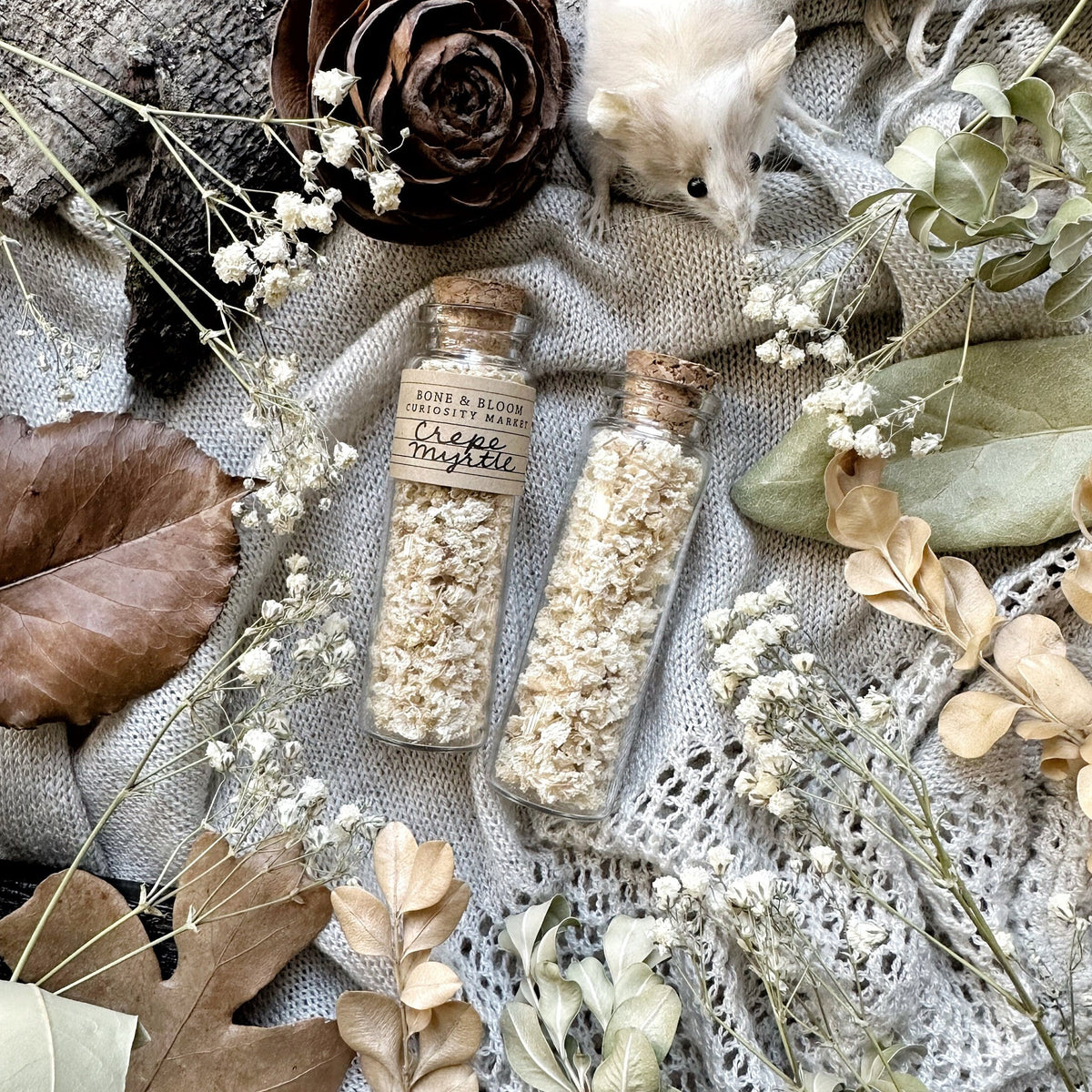 Dried Crepe Myrtle Petals in Glass Vial