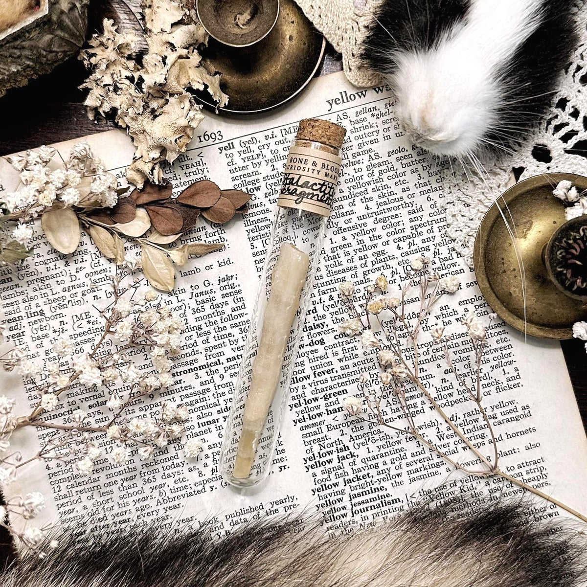 Petite Stalactite Fragment in Glass Vial – No. 01