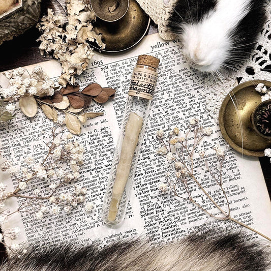 Petite Stalactite Fragment in Glass Vial – No. 01