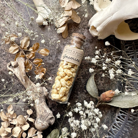 Dried Jasmine Flowers in Glass Vial