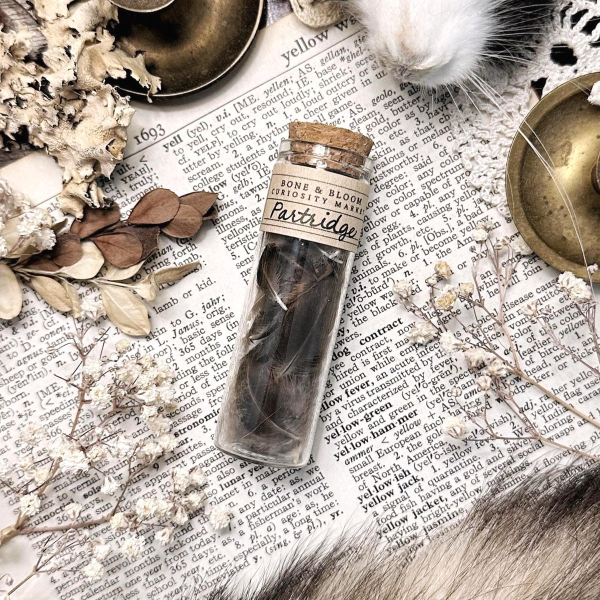 Real Partridge Feathers in Glass Vial