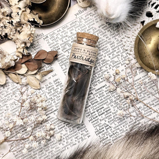 Real Partridge Feathers in Glass Vial