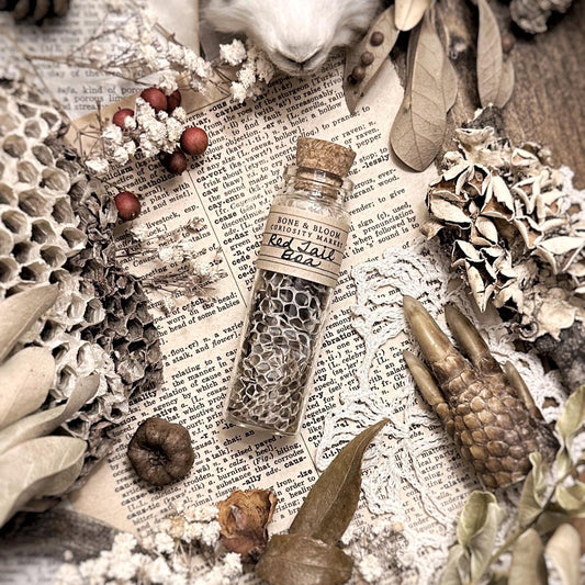 Real Red Tail Boa Snake Skin in Glass Vial