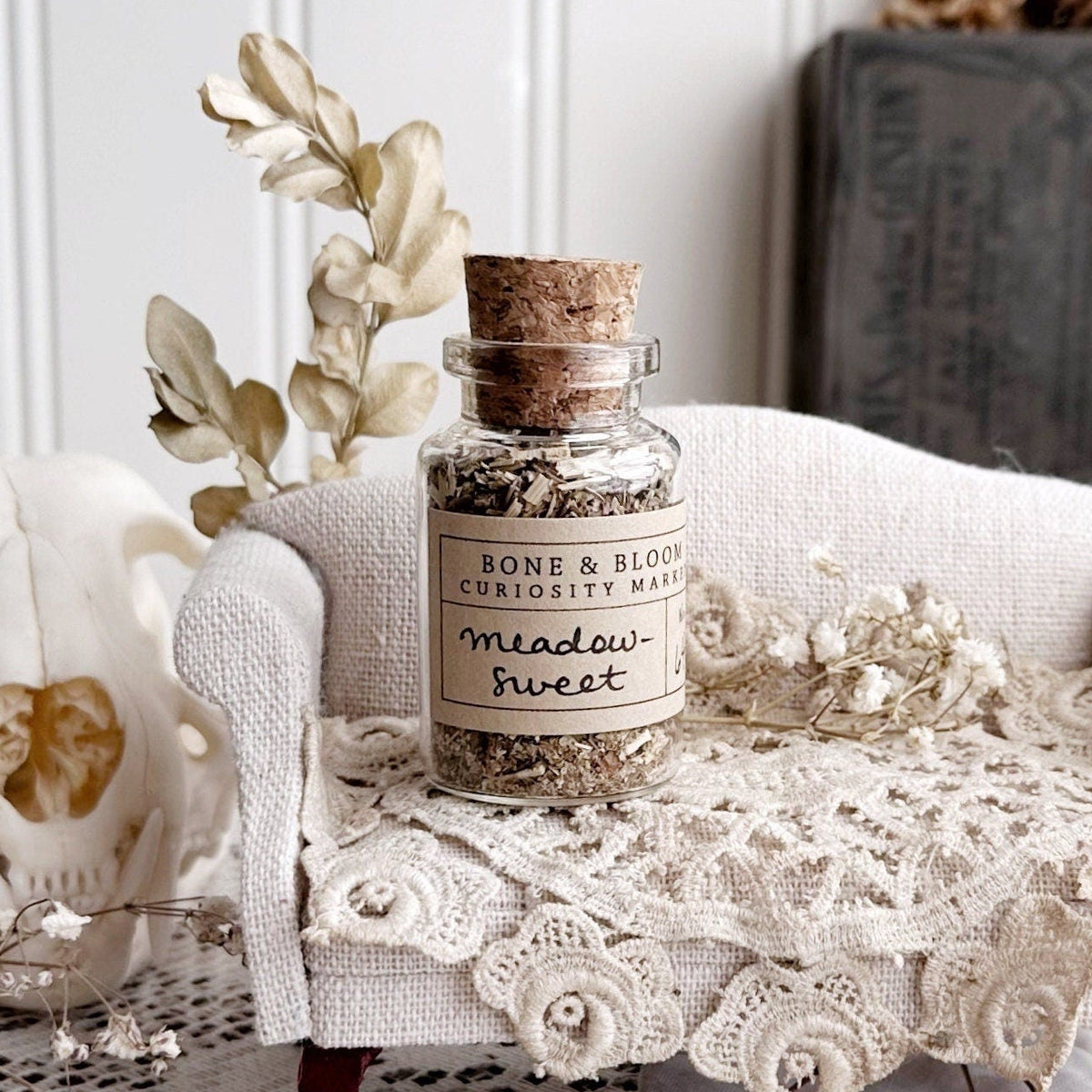 Dried Meadowsweet in Glass Vial – No. 64